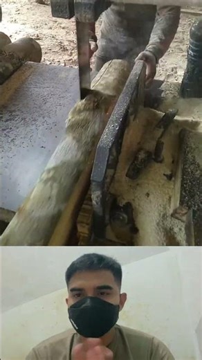 How Logs Become Perfect Boards!