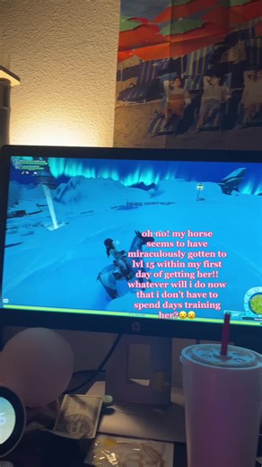 Level Up Your Character Quickly in Star Stable Online