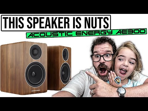 Speaker Defies Logic - Acoustic Energy AE300 Review