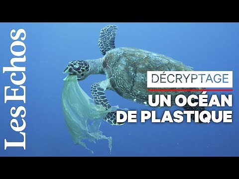 Vraiment fantastique, le plastique ? Plutôt dramatique pour les océans