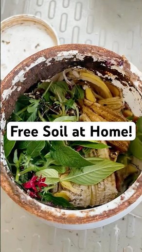 How to Make Soil at Home 🌱 | Zero-Cost Gardening from Kitchen Waste #soil #homegardening #shorts