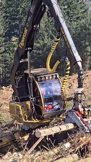 "There is masses of potential there!" Find out how this Tigercat 1165 won over one forestry operator. Check out our full video feature now! 📺 https://youtu.be/U0u_qX0s3Ig 📖 https://www.forestryjournal.co.uk/features/forestry-journal-features/25258654.tigercat-1165-won-one-forestry-operator/ #tigercat #tigercat1165 #forestmachine #forestry #timber | Forestry Journal