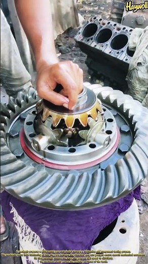 Lubricating and testing heavy vehicle differential gear rotation