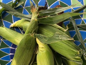 Sweet Corn Festival Around The Corner In Long Valley