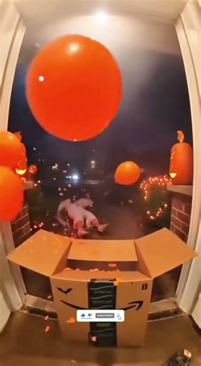 Porch Pirate Prank Caught on Camera