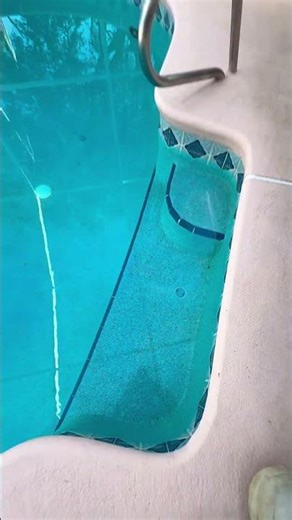 Inspection day! 🛠️ Before any work begins, we guide every client step by step