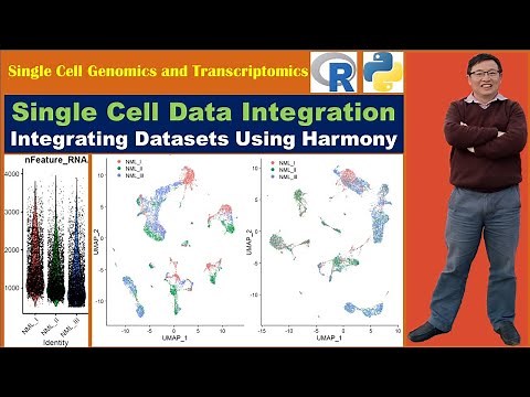 Single Cell Data Integration: Integrating Datasets Using Harmony
