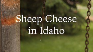94 reactions · 56 shares | Randal and Carol Stoker fell in love with sheep cheese during a trip to Italy almost 20 years ago. Curiosity led them on a journey to raise sheep in Salmon, Idaho, and figure out how to milk and process hand-made artisan cheese from their flock. Thanks to others and tutorials on YouTube, the two of them spend a portion of their "semi-retirement" years making sheep cheese for people all over. | Idaho Farm Bureau Federation | Facebook
