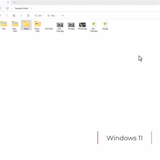 Windows 11 Hiding and Unhiding Files and Viewing Hidden Files