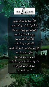 206K views · 2.3K reactions | اسد رائٹس ✍鹿 ... 鹿懶✨️...