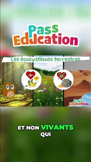 Les écosystèmes terrestres : forêts, prairies et déserts 🌳🌾🏜️ – Sciences CM1 CM2