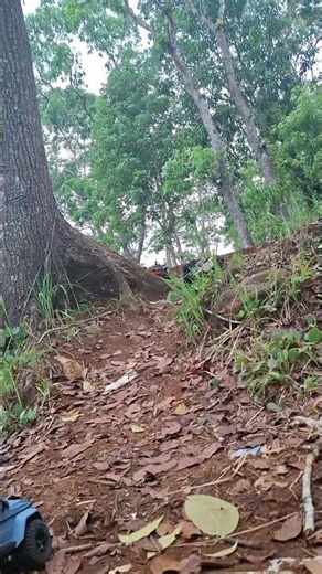 Extreme Hill Challenge | Will this Offroad RC make it through?