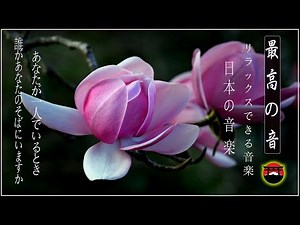 木村好夫 ベストソング Hits Full Album ♥ Best 木村好夫 Collection 2022🎸Beautiful Guitar Music