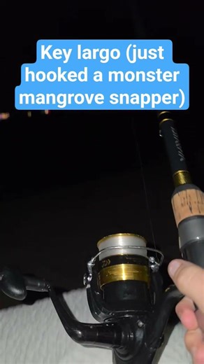fishing in key largo #fishing #snapper #mangrovesnapper #irl #tweening #florida #keylargo