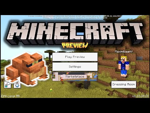 How To Get Minecraft Preview On Windows!