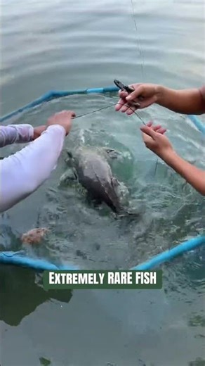 Extremely Rare Fish 🤯 #DDAWNGFishing