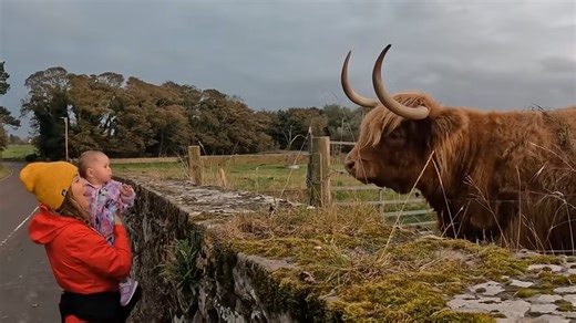 What first time UK travelers should know before they go