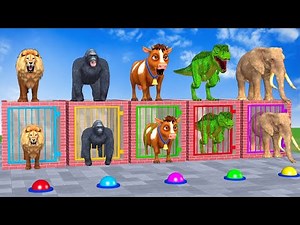 Animals vs WORLD'S BIGGEST Water Slide! 😂🐻💦 (You Won't Believe Who Wins)