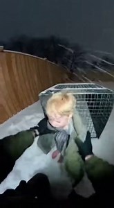 4.5M views · 11K reactions | "THEY WERE EATING POT ROAST WHILE THEIR...