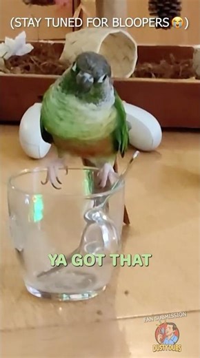 Absolutely Unacceptable Tea Service (With Bloopers 😭)