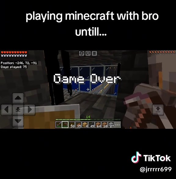 Exploring the Playmate Mod in Minecraft