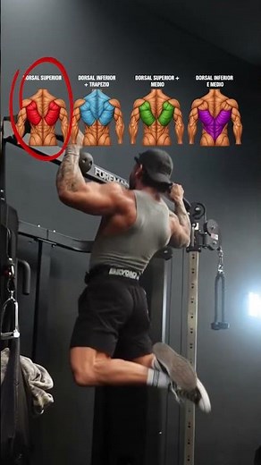 Complete Back Workout With 4 Basic Exercises