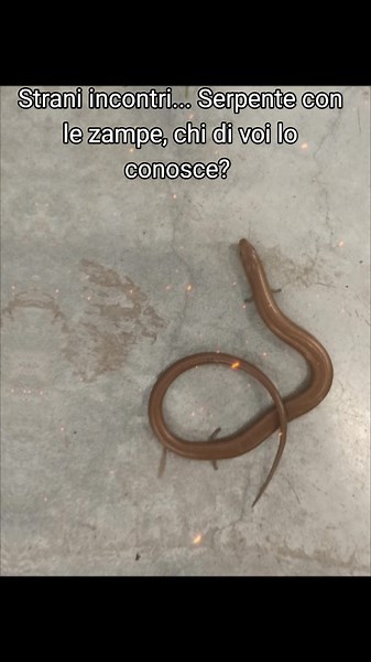 Video di Flipper.86 (@flipper.86) con Jurassic World Theme - Voidoid