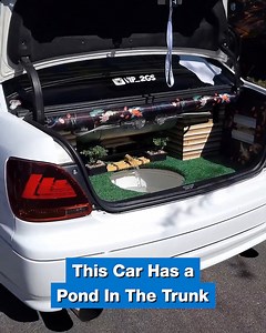 Yes, this guy really has built a pond for his fish in the back of his car 🐠😂 | Supercar Blondie