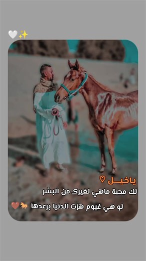 يا خيل لك محبة ماهي لغيرك من البشر لو هي غيوم هزت الدنيا برعدها 🐎🤎#حفيدالعميري #مليون #اكسبلور_تيك_توك #