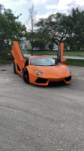 Aventador #lambo #florida #fyp #exoticcars #hgreglux