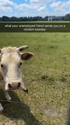 Snapchat | imagine getting this Snap and not smiling 🥹 via: @ayealyssaaaa | Instagram