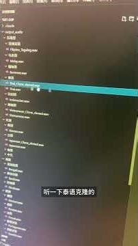 东南亚同传天花板！泰语 / 越南语 / 菲律宾语全覆盖 #ai #同声传译 #AI翻译 #直播
