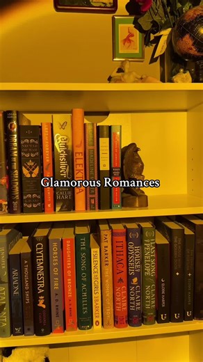 G-L-A-M-O-R-O-U-S first class #booktok #billionaireromance #booktok #fyp