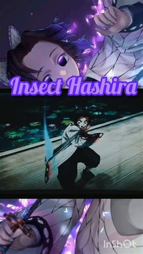 Introduction to the Hashira #demonslayers #hashira