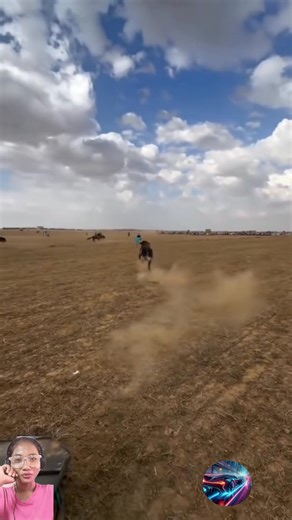 Crazy Angry Buffalo Gone Wild! 😂💥 | Fast Lane Fusion