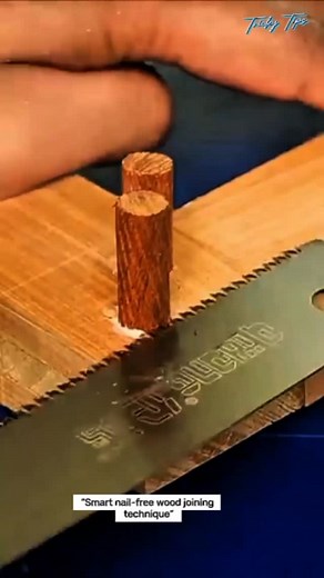 “Join wood firmly without using a single nail — simple and genius! 💡✨ Save this trick for your next woodworking project! 🔧 . . #DIYTools #SmartDIY #WorkshopHacks #LifeHackTools #CraftsmanIdeas #ToolTips #HandymanHacks #TrendingDIY #WoodworkingHack #CreativeHack** | Tricky Tips