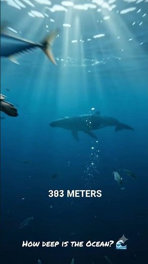 How Deep Is the Ocean, REALLY? 🌊😱 We Reached Challenger Deep!