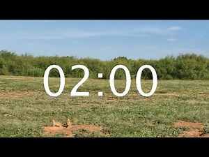2 Minute Animal Timer - Bobcat Encounter with Prairie Dogs Classroom Timer