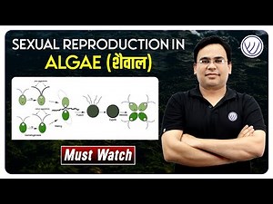 SEXUAL REPRODUCTION IN ALGAE | RPSC ASSISTANT PROFESSOR | NILESH SONI