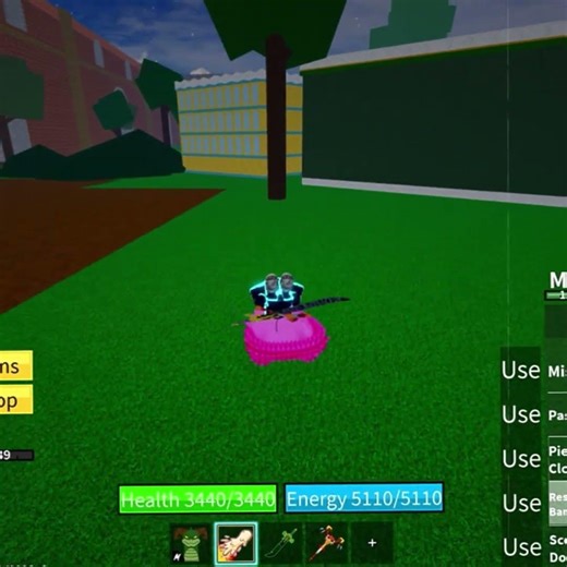 This is my account in Blox fruit I don’t play it now