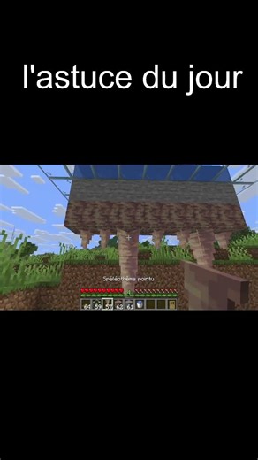 faire pousser de des stalactites , astuce Minecraft 55