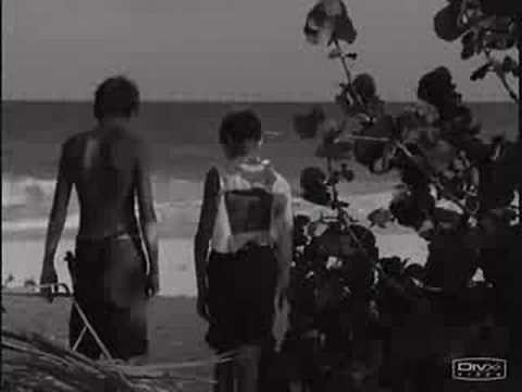 Lord of the Flies Crack.. of some sort.
