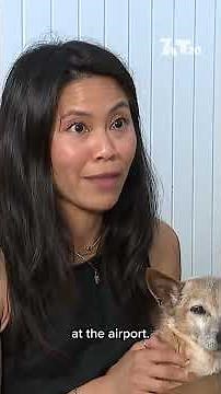 Dog killed by coyote during season of high activity | NBC 7 San Diego