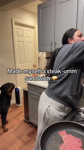 Steak-umm sandwich be soooo good! Have anyone tried it? #dinner #foodtok #sandwiches #foodie #nightsnack