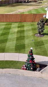 The Mailbox Christmas Tree is Back! | The Lawn Tools