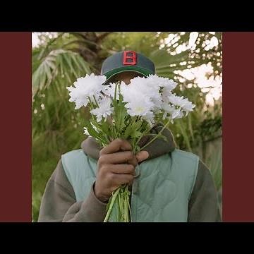 bossa nova