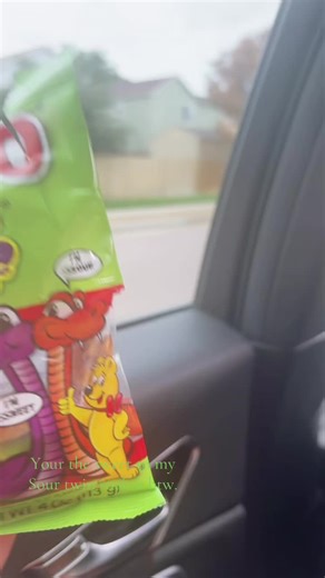 Unlocking Language Learning with Twin Snakes