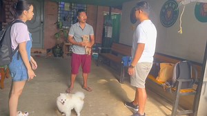 68K views · 5.1K reactions | ဒီလောက်ချစ်စရာကောင်းတဲ့ကလေးလေးက က်ိုက်...