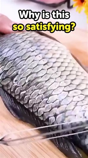 Endless fun, one click away, play now!