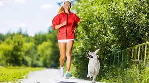 Are you on the hunt for a jogging companion? Check out these 10 dog breeds born to run